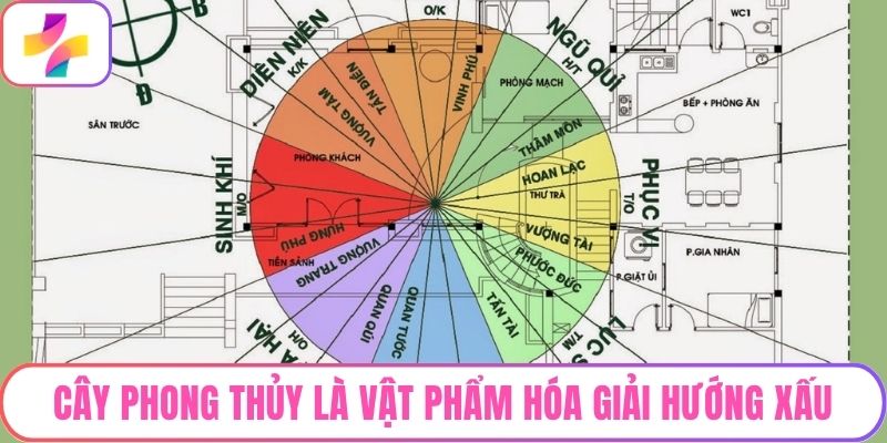 Cây phong thủy là vật phẩm hóa giải hướng xấu