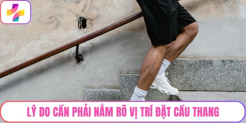 Lý do cần phải nắm rõ vị trí đặt cầu thang