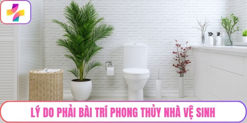 Lý do phải bài trí phong thủy nhà vệ sinh