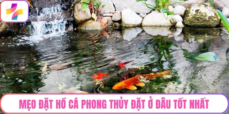 Mẹo đặt hồ cá phong thủy đặt ở đâu tốt nhất