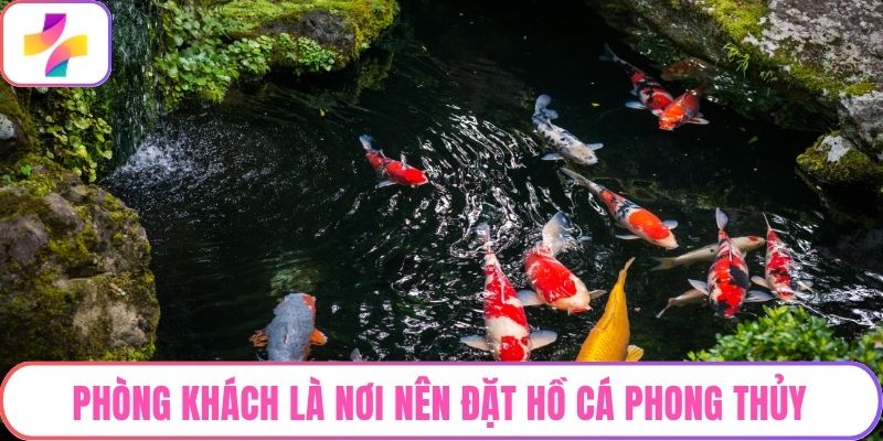 Phòng khách là nơi nên đặt hồ cá phong thủy