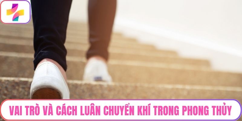 Vai trò và cách luân chuyển khí trong phong thủy